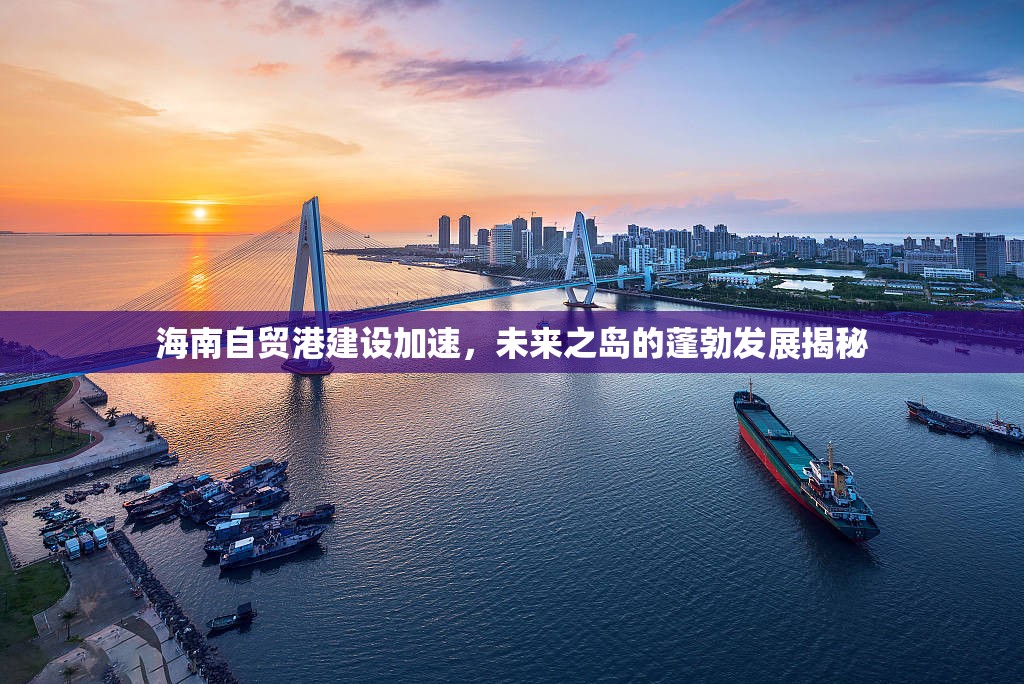 海南自貿(mào)港建設(shè)加速，未來之島的蓬勃發(fā)展揭秘
