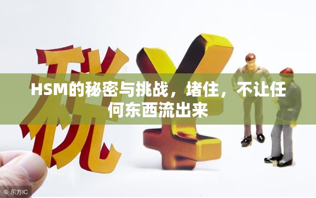 HSM的秘密與挑戰(zhàn)，堵住，不讓任何東西流出來