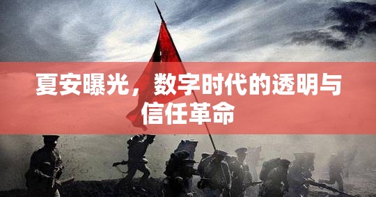 夏安曝光，數(shù)字時(shí)代的透明與信任革命