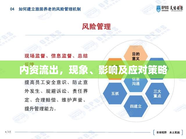 內(nèi)資流出，現(xiàn)象、影響及應對策略