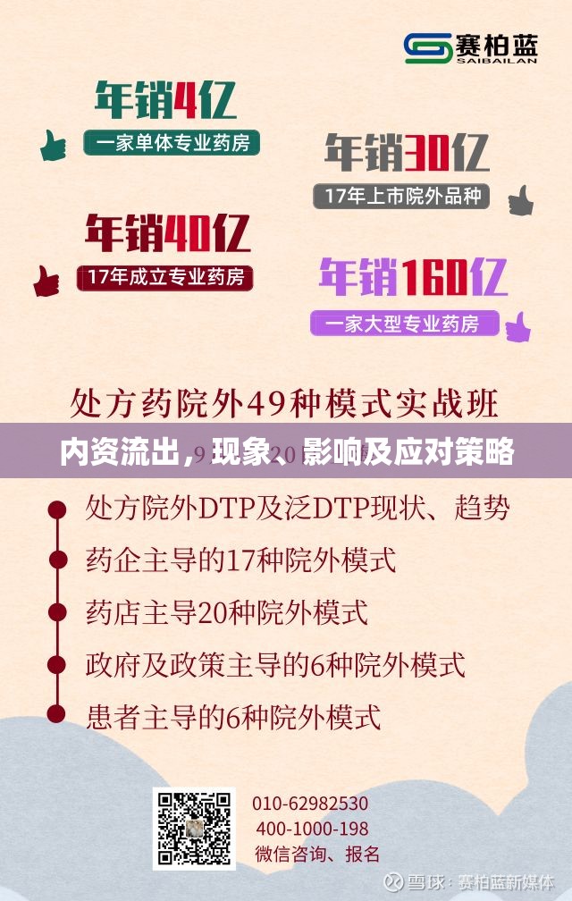 內(nèi)資流出，現(xiàn)象、影響及應對策略