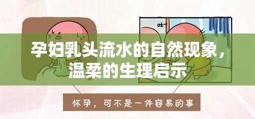 孕婦乳頭流水的自然現(xiàn)象，溫柔的生理啟示