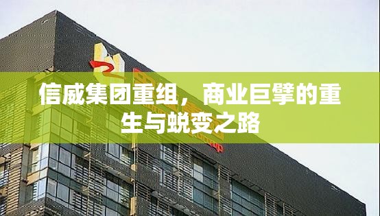 信威集團重組，商業(yè)巨擘的重生與蛻變之路