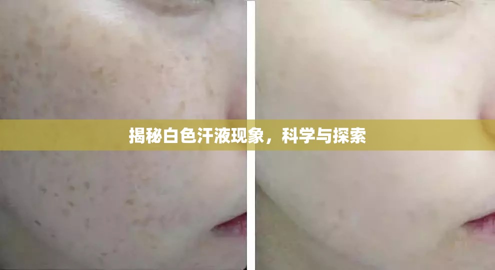 揭秘白色汗液現(xiàn)象，科學(xué)與探索