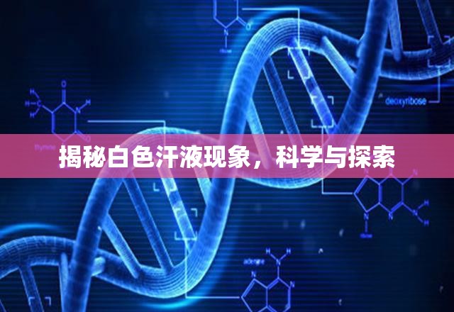 揭秘白色汗液現(xiàn)象，科學(xué)與探索
