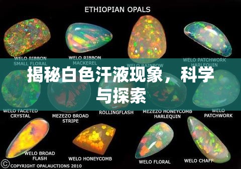 揭秘白色汗液現(xiàn)象，科學(xué)與探索