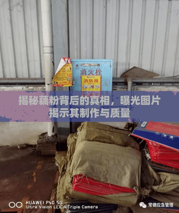 揭秘藕粉背后的真相，曝光圖片揭示其制作與質(zhì)量