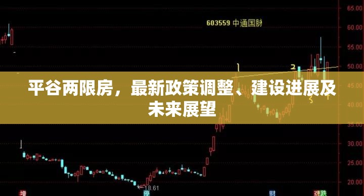 平谷兩限房，最新政策調(diào)整、建設(shè)進(jìn)展及未來展望