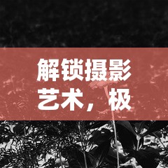 解鎖攝影藝術(shù)，極致曝光下的無限創(chuàng)意與表現(xiàn)力