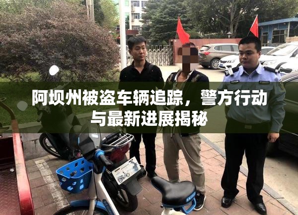 阿壩州被盜車輛追蹤，警方行動與最新進展揭秘