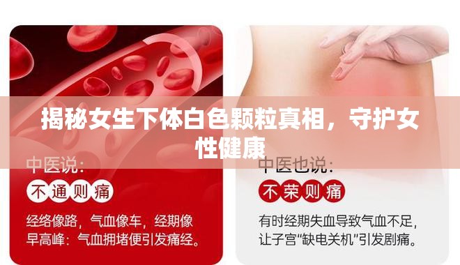 揭秘女生下體白色顆粒真相，守護(hù)女性健康