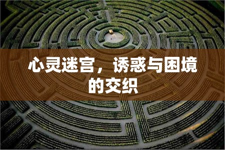 心靈迷宮，誘惑與困境的交織