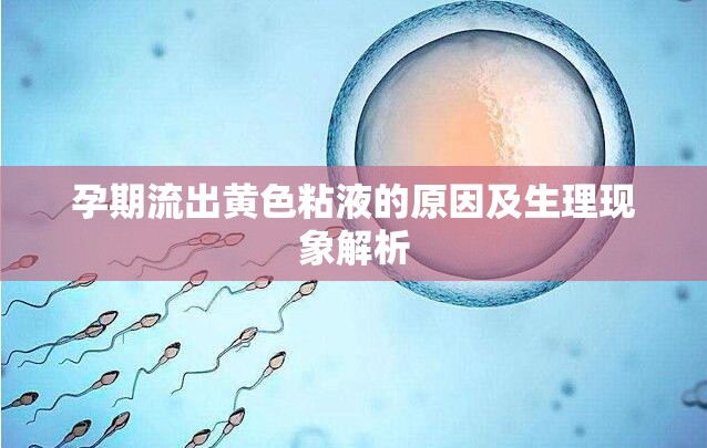 孕期流出黃色粘液的原因及生理現象解析