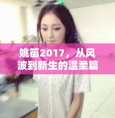 姚笛2017，從風波到新生的溫柔篇章