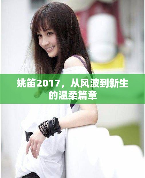 姚笛2017，從風波到新生的溫柔篇章
