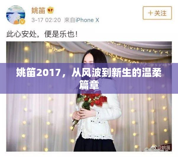 姚笛2017，從風波到新生的溫柔篇章