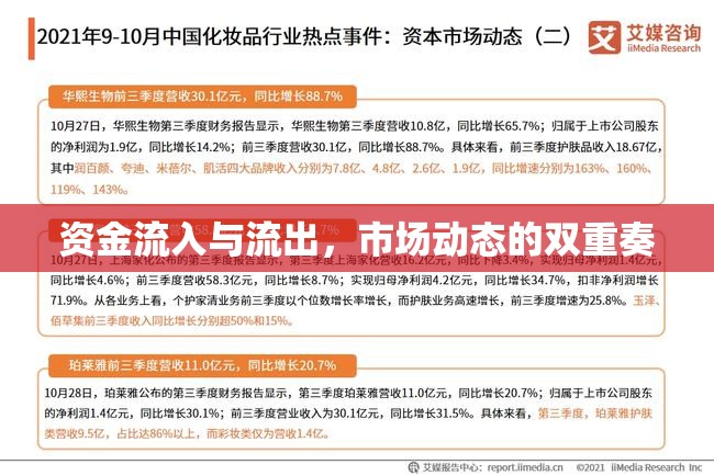 資金流入與流出，市場(chǎng)動(dòng)態(tài)的雙重奏