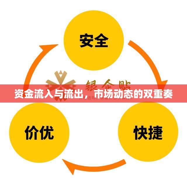 資金流入與流出，市場(chǎng)動(dòng)態(tài)的雙重奏