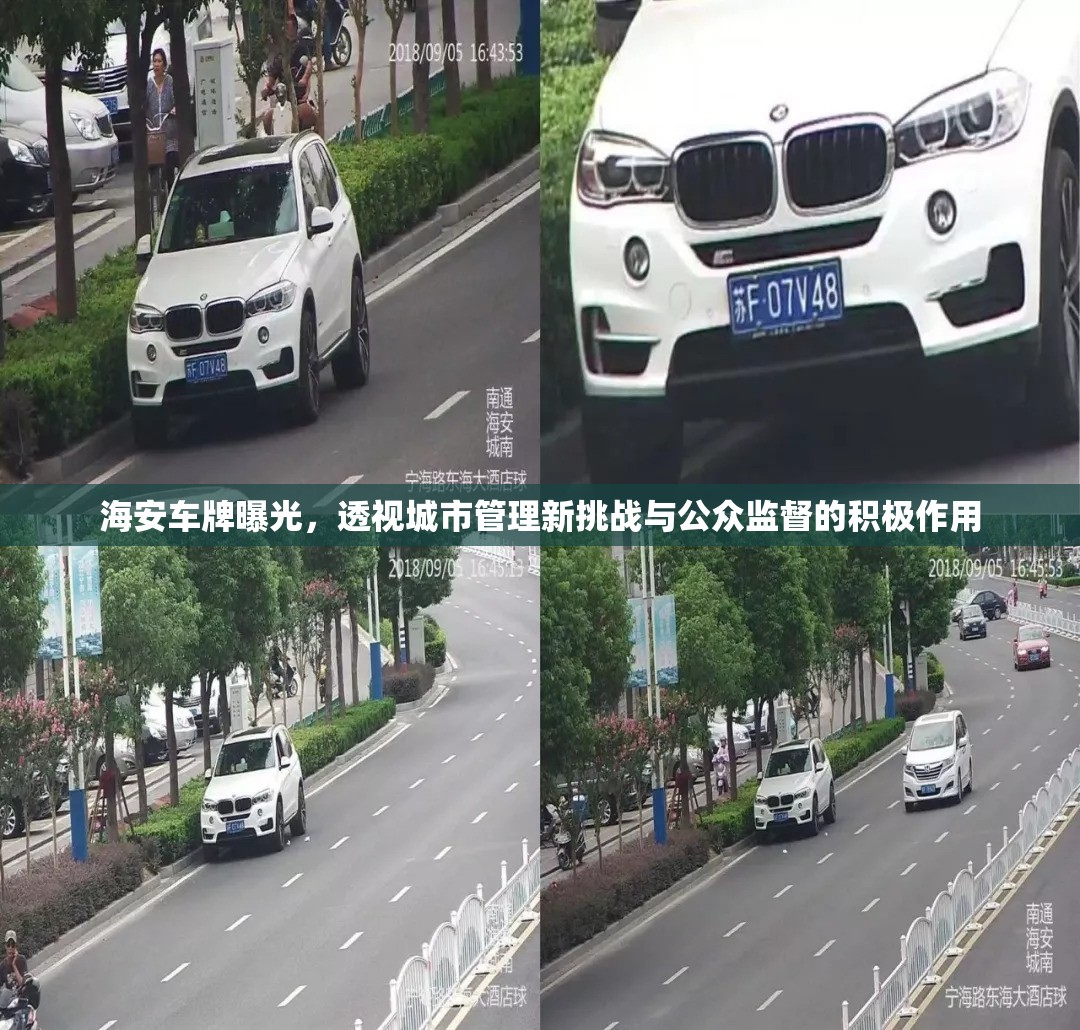海安車牌曝光，透視城市管理新挑戰(zhàn)與公眾監(jiān)督的積極作用