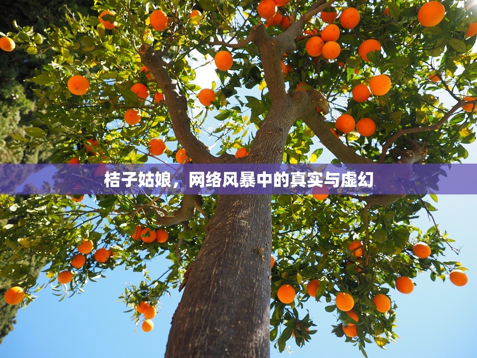 桔子姑娘，網(wǎng)絡(luò)風(fēng)暴中的真實(shí)與虛幻