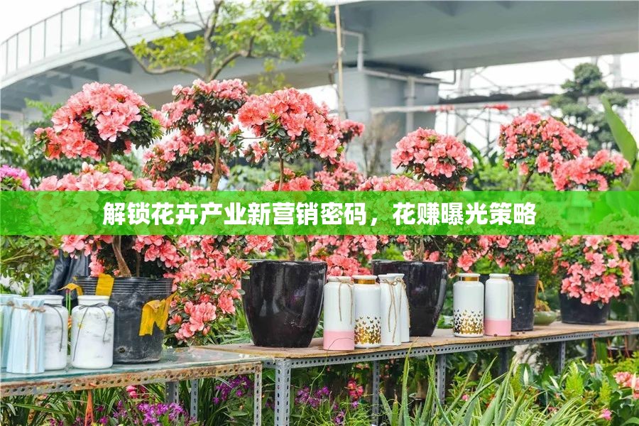 解鎖花卉產(chǎn)業(yè)新營銷密碼，花賺曝光策略
