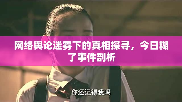 網(wǎng)絡(luò)輿論迷霧下的真相探尋，今日糊了事件剖析