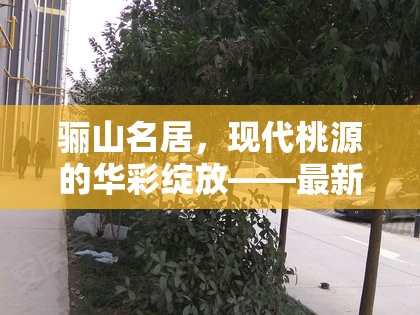 驪山名居，現(xiàn)代桃源的華彩綻放——最新進(jìn)展與未來展望