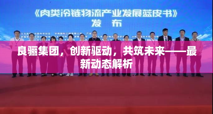 良驪集團，創(chuàng)新驅(qū)動，共筑未來——最新動態(tài)解析