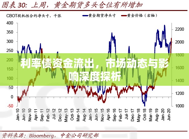 利率債資金流出，市場動(dòng)態(tài)與影響深度探析