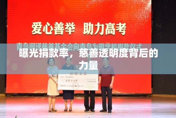 曝光捐款率，慈善透明度背后的力量