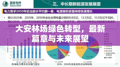 大安林場綠色轉型，最新篇章與未來展望