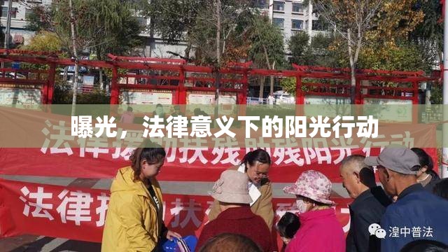 曝光，法律意義下的陽光行動