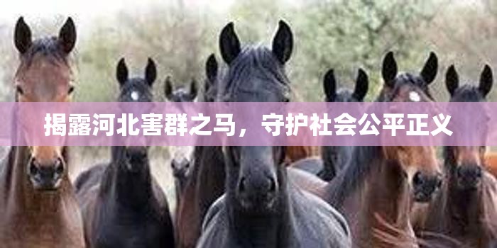 揭露河北害群之馬，守護社會公平正義