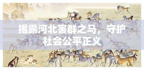 揭露河北害群之馬，守護社會公平正義