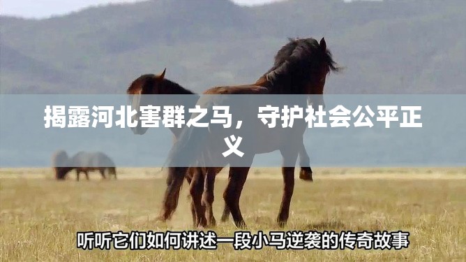 揭露河北害群之馬，守護社會公平正義