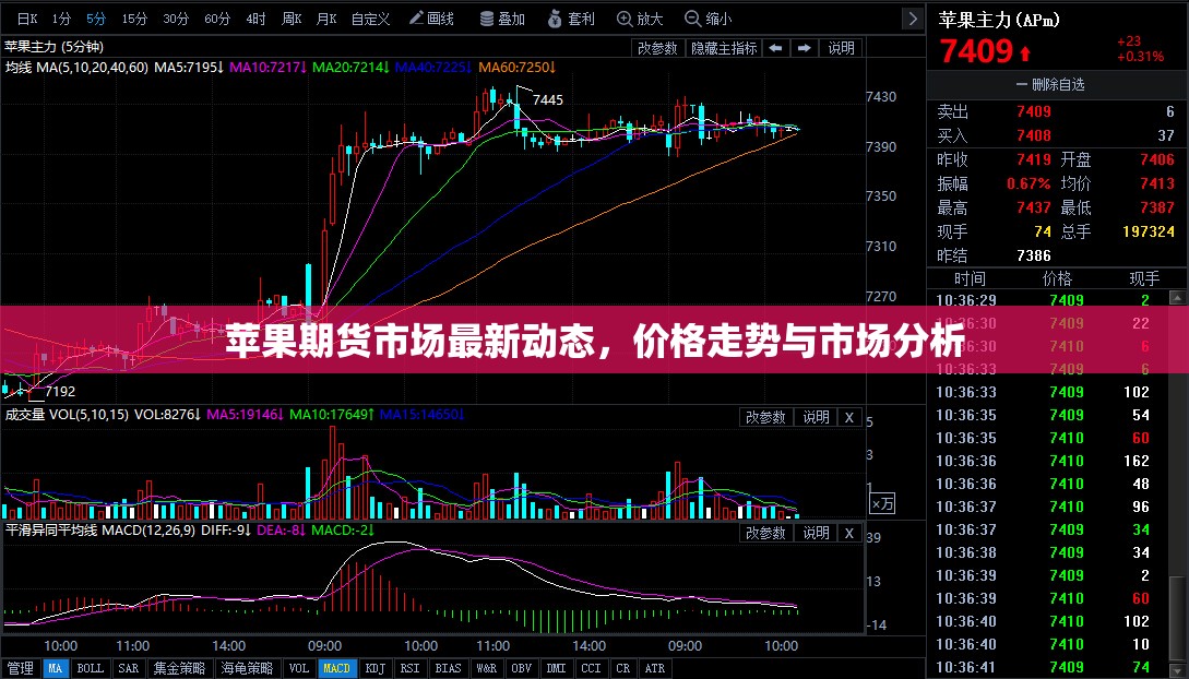 蘋果期貨市場最新動(dòng)態(tài)，價(jià)格走勢與市場分析