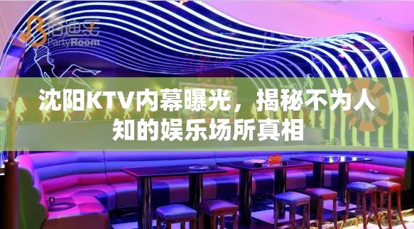 沈陽KTV內(nèi)幕曝光，揭秘不為人知的娛樂場(chǎng)所真相