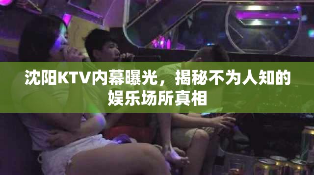 沈陽KTV內(nèi)幕曝光，揭秘不為人知的娛樂場(chǎng)所真相