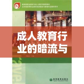 成人教育行業(yè)的暗流與光明，揭秘成教背后的真相