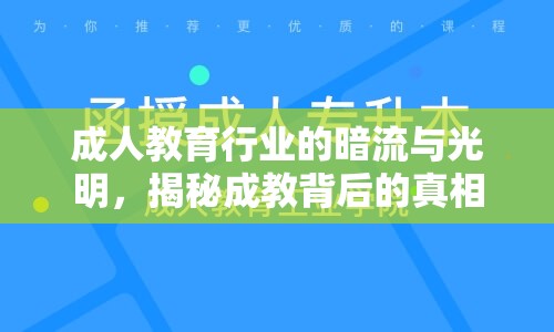 成人教育行業(yè)的暗流與光明，揭秘成教背后的真相