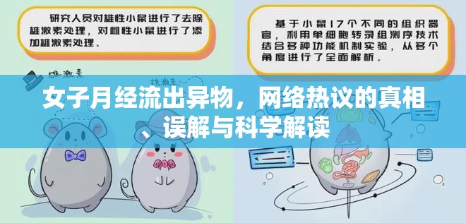 女子月經流出異物，網絡熱議的真相、誤解與科學解讀