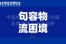 句容物流困境的破局策略與未來展望