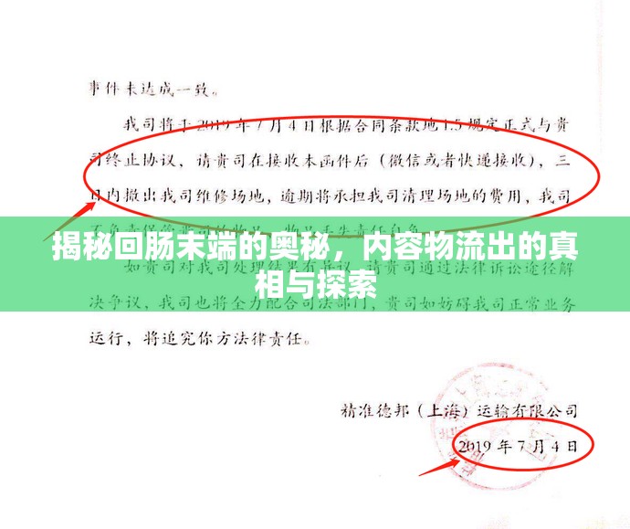 揭秘回腸末端的奧秘，內(nèi)容物流出的真相與探索