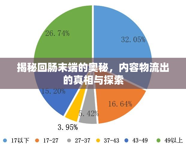 揭秘回腸末端的奧秘，內(nèi)容物流出的真相與探索