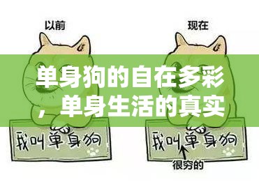 單身狗的自在多彩，單身生活的真實寫照