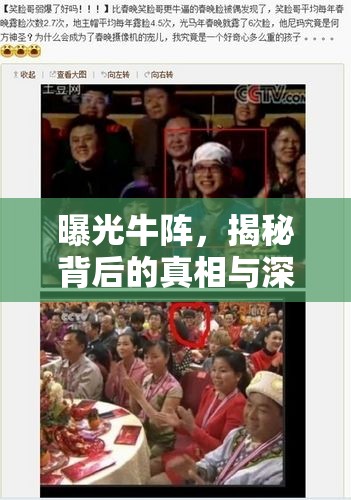 曝光牛陣，揭秘背后的真相與深遠(yuǎn)影響