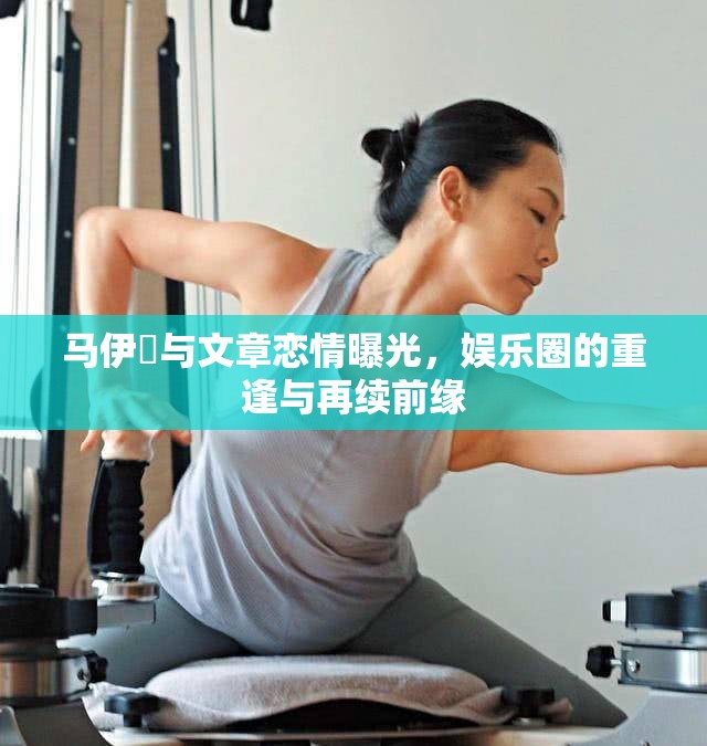 馬伊琍與文章戀情曝光，娛樂圈的重逢與再續(xù)前緣