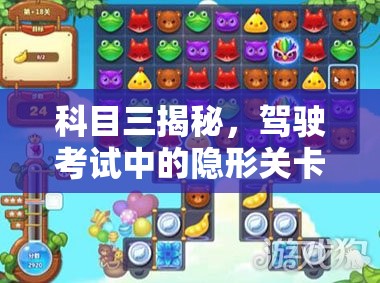 科目三揭秘，駕駛考試中的隱形關(guān)卡與應(yīng)對(duì)策略