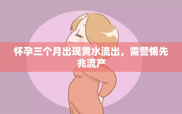 懷孕三個月出現(xiàn)黃水流出，需警惕先兆流產(chǎn)