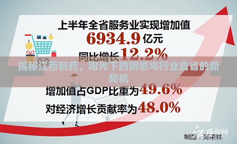 揭秘江西制藥，陽(yáng)光下的陰影與行業(yè)自省的新契機(jī)